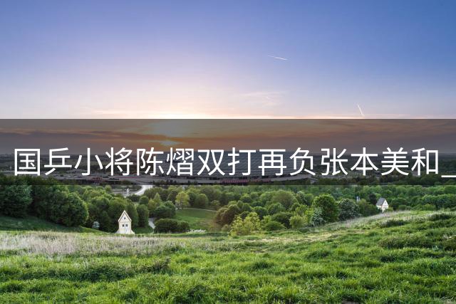 国乒小将陈熠双打再负张本美和 状态持续低迷引关注