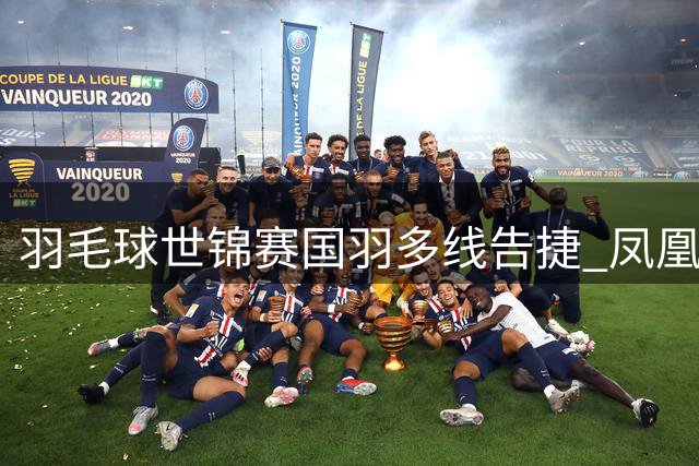 羽毛球世锦赛国羽多线告捷 "凤凰组合"创历史最佳战绩